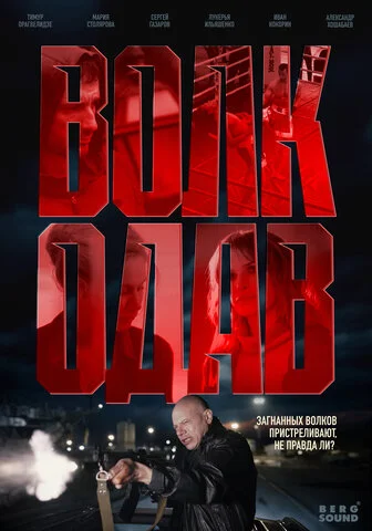 Волкодав - постер сериала